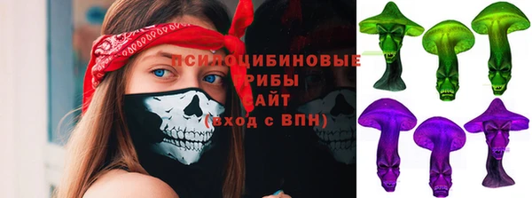 ПСИЛОЦИБИНОВЫЕ ГРИБЫ Алзамай