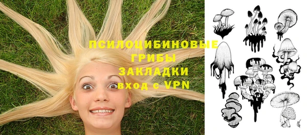 герыч Магас