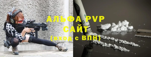 дживик Абаза